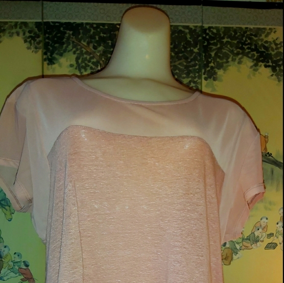 Women's Plus size 1X Vintage style T-Shirt - Picture 5 of 5